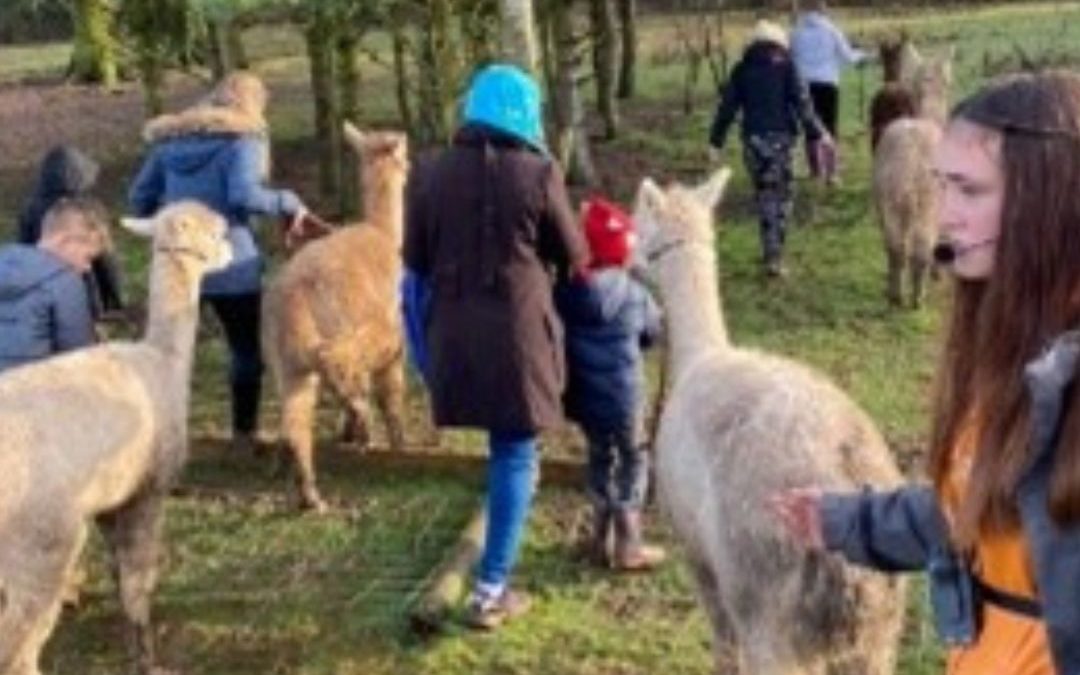 CYP Case Study: Alpaca Farm Day Trip